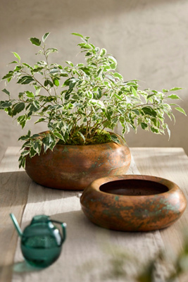 Terrain Round Shoulder Iron Bowl Planter In Brown