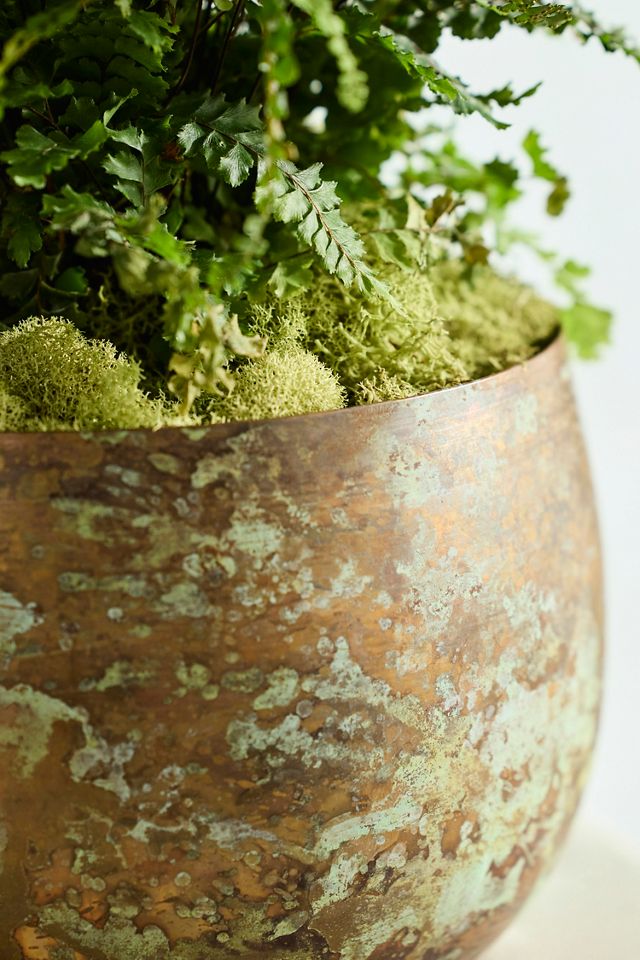 Weathered Iron Round Bowl Planter #2