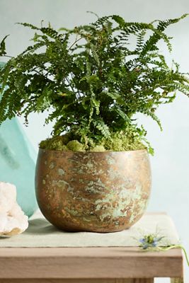 Weathered Iron Round Bowl Planter