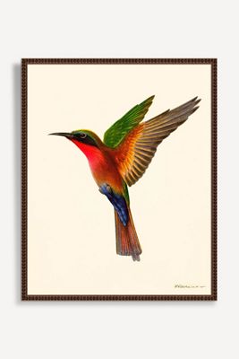 Hummingbird Wall Art