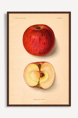 Apples Wall Art