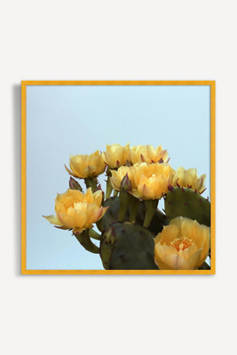Artfully Walls Prickly Pear #3 Wall Art