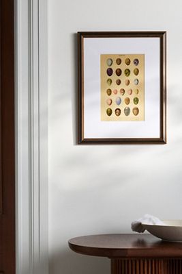 Eggs Wall Art