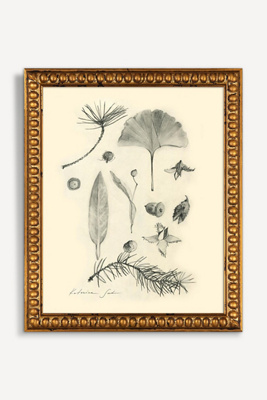 Artfully Walls Botanical Sketch Wall Art