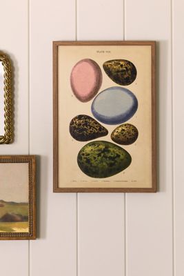 Eggs Wall Art