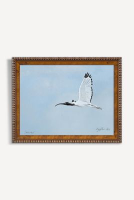 Egyptian Ibis Wall Art