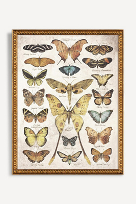 Artfully Walls Butterflies And Moths Wall Art