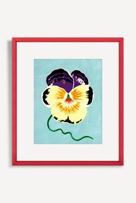 Pansy on Pink Wall Art