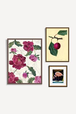 Fuchsia Botanicals Gallery Wall Art