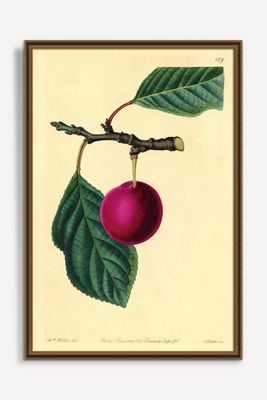 Cherry Wall Art