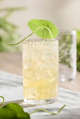 Acrylic Tumblers, Set of 6
