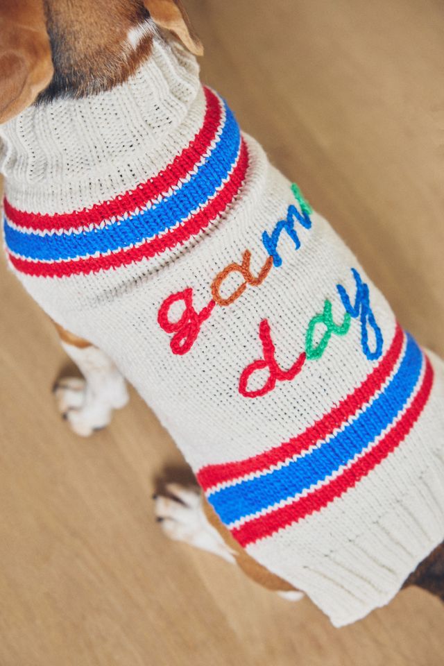 Game Day Wool Dog Sweater #1