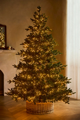 Artificial Twinkling Pre-Lit Carolina Fraser Tree, 7.5'
