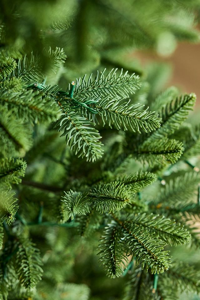 Faux Twinkling Pre-Lit Carolina Fraser Tree, 7.5’ #4