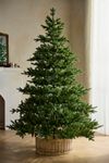Faux Twinkling Pre-Lit Norway Spruce
