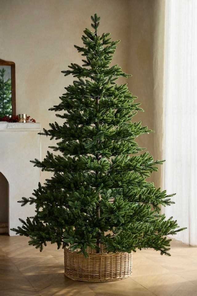 Faux Twinkling Pre-Lit Carolina Fraser Tree, 7.5’ #3