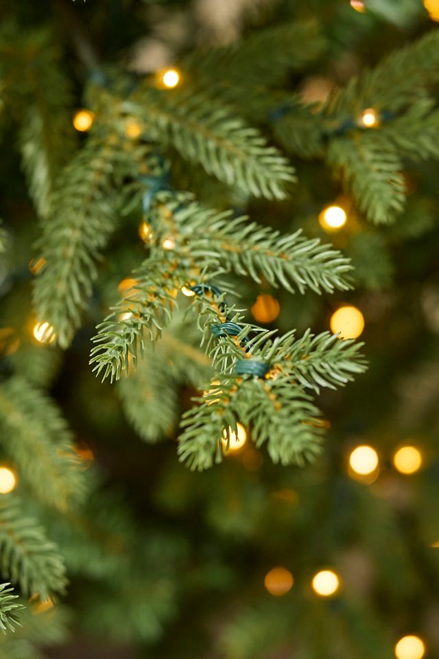 Faux Twinkling Pre-Lit Potted Norway Spruce, 4’ #1