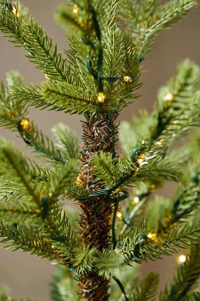 Faux Twinkling Pre-Lit Potted Norway Spruce, 4’ #3
