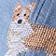 Corgi