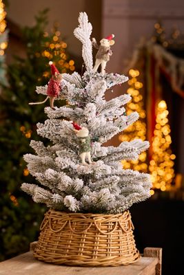 Mini Looping Rattan Tree Collar