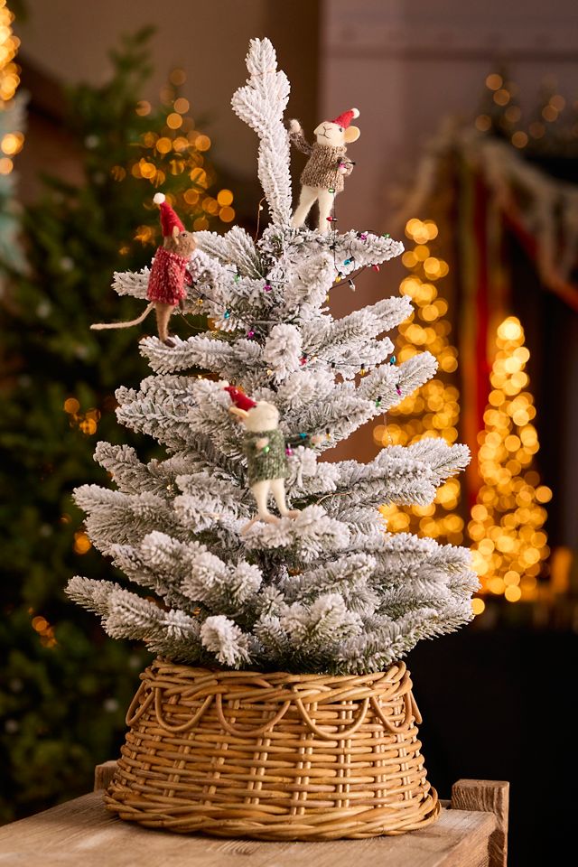 Mini Looping Rattan Tree Collar