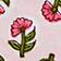 Bloom Boom