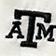 Texas A&M University