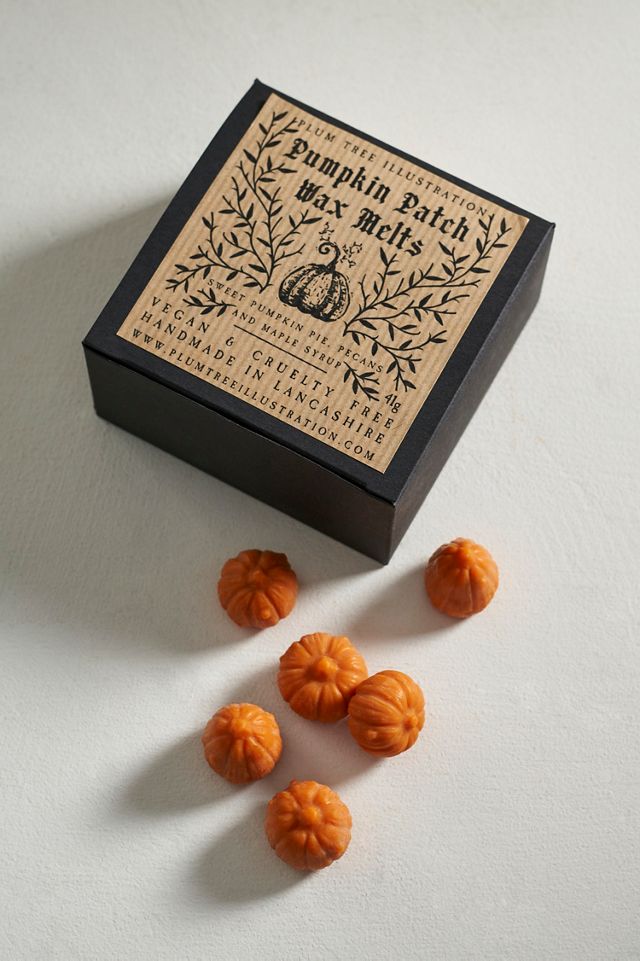 Pumpkin Wax Melts, Set of 6 #2