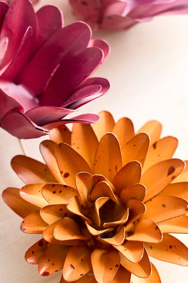 Strawflowers Iron Bunch