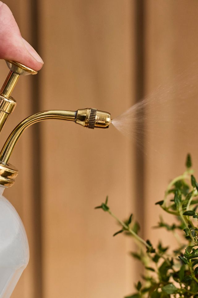 Color Glass + Brass Plant Mister #1