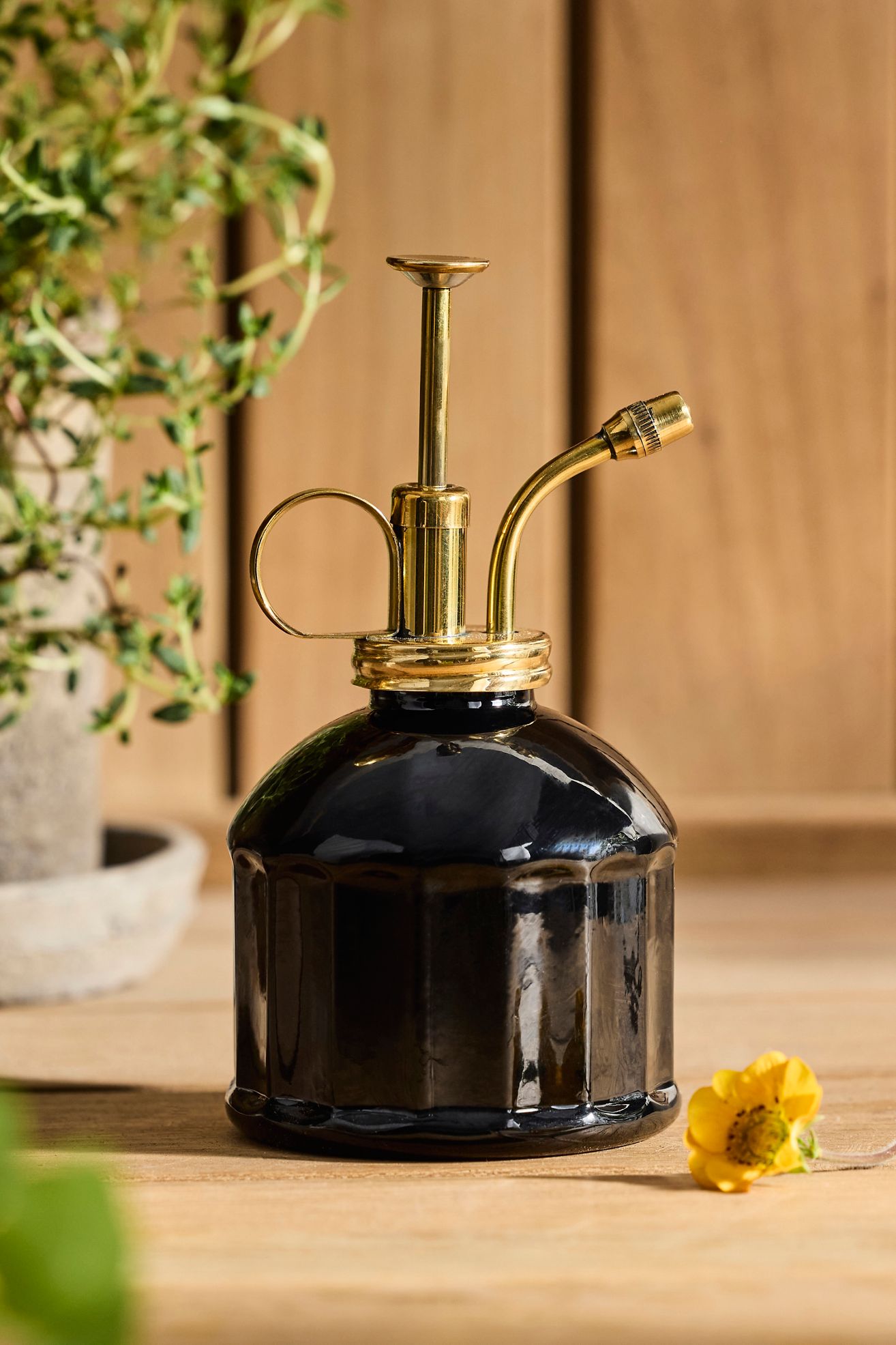 Color Glass + Brass Plant Mister - Black, Standard, 6"