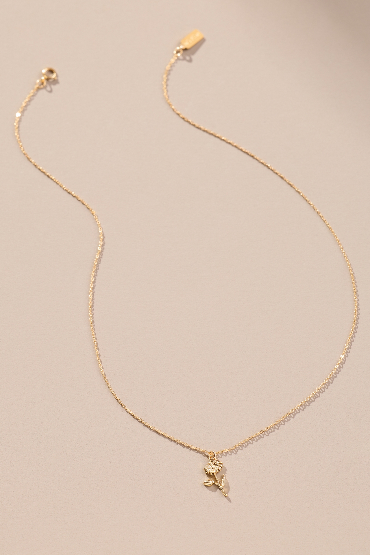 Set & Stones Daisy Charm Necklace