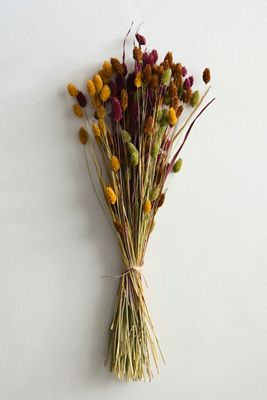 Dried Phalaris Mix Bunch