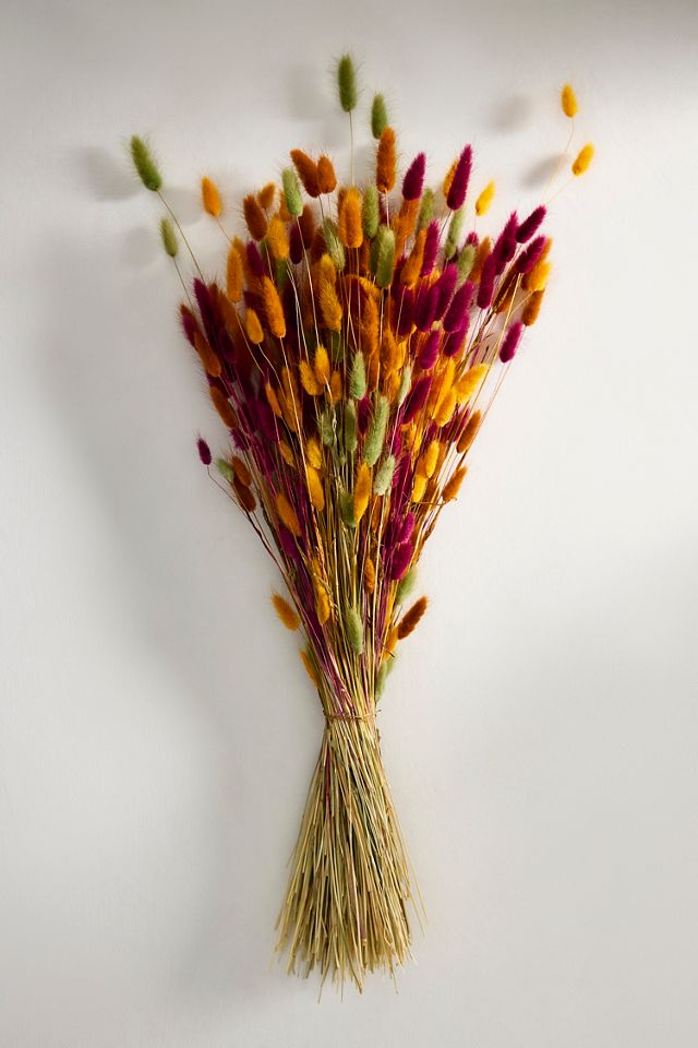 Preserved Lagurus Mix Bunch #2