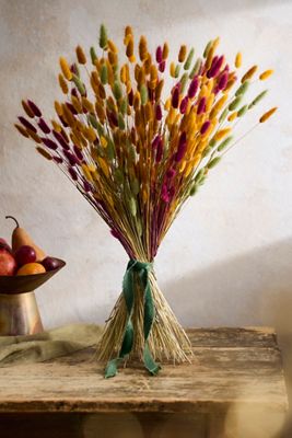 Preserved Lagurus Mix Bunch