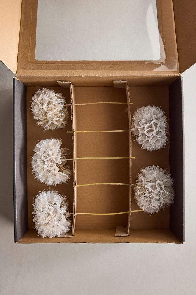 Dried Dandelion Stems, Set of 5 #1
