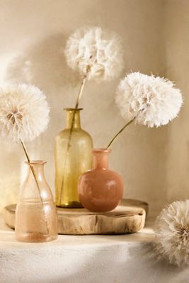 Dried Dandelion Stems, Set of 5