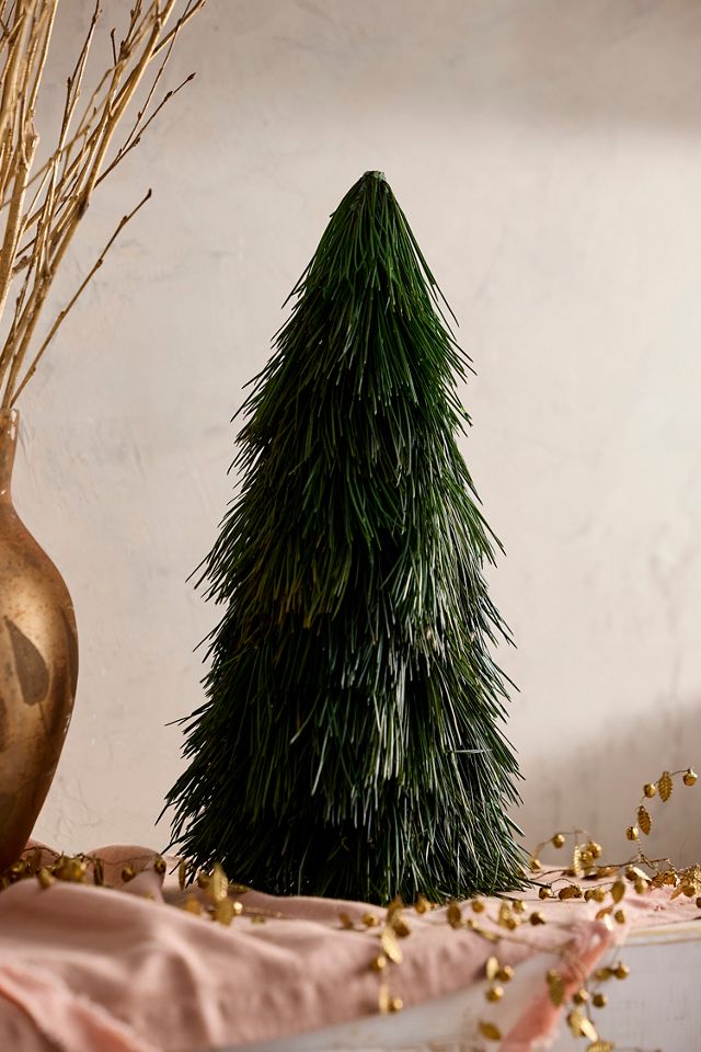 Preserved Spruce Cone #2