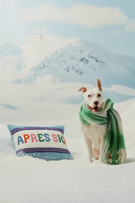 Alden Embroidered Cotton Pillow