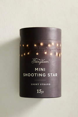 Stargazer Glitzer Streudose | Kosmetischer Glitter | 5 G | Für Gesicht, Nägel & Haare