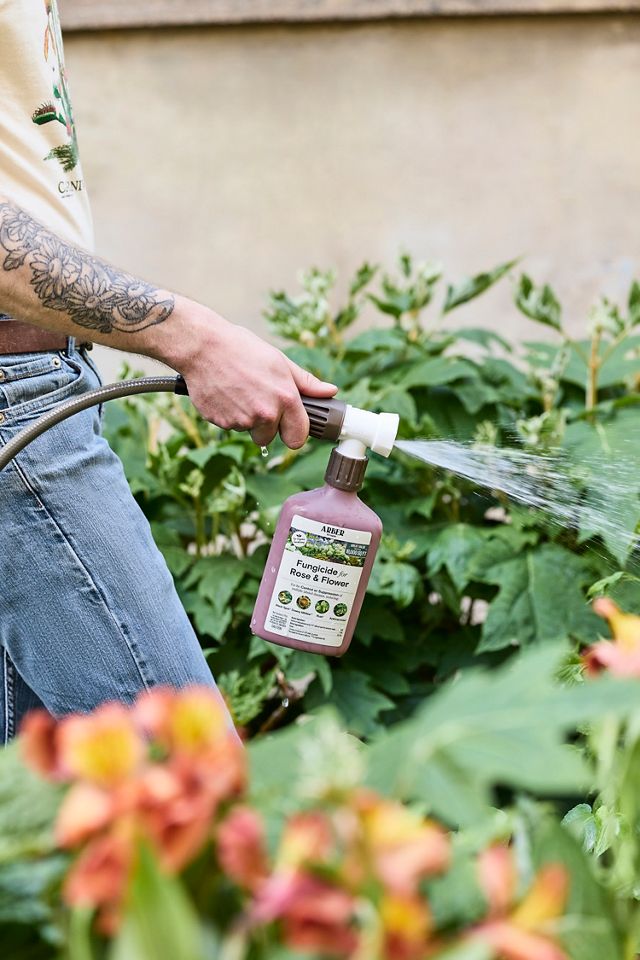 Arber Fungicide for Rose + Flower #1