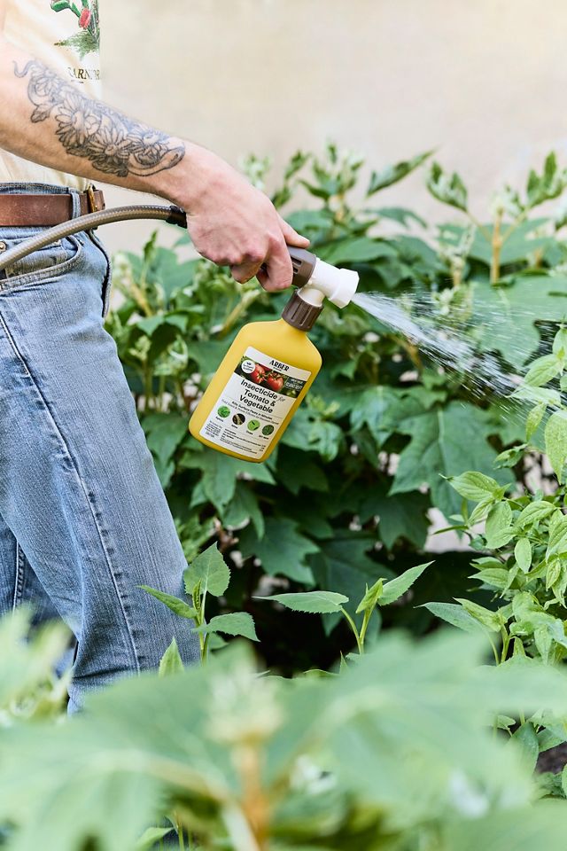 Arber Insecticide for Tomato + Vegetable #1