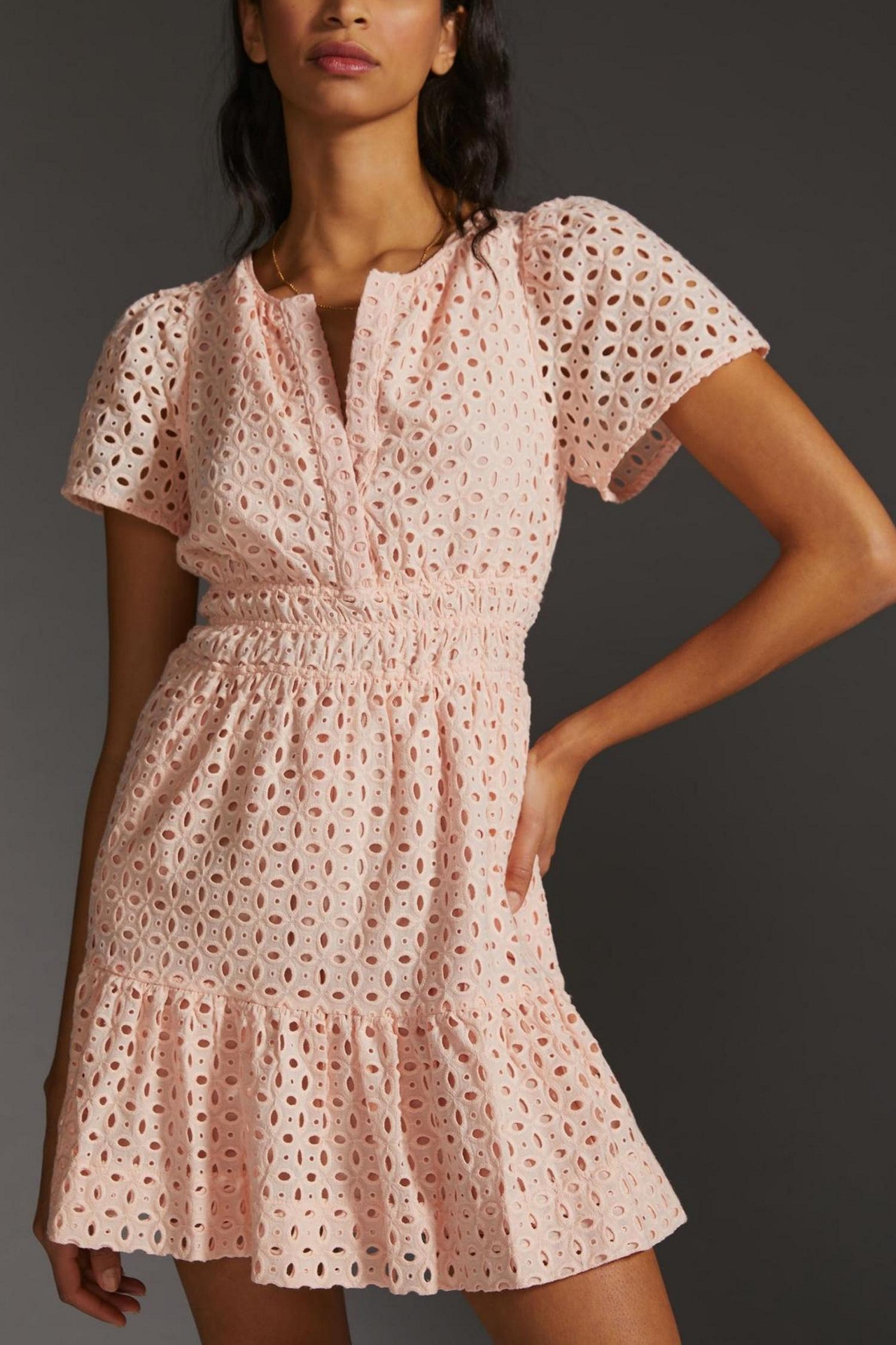 Somerset Eyelet Mini Dress