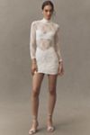 Nightcap Sheer Stretch Lace Mini Dress