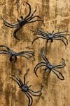 Stargazer Creepy Crawly Light Clips, Set of 10