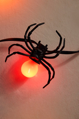 Terrain Stargazer Creepy Crawly Light Clips, Set Of 10