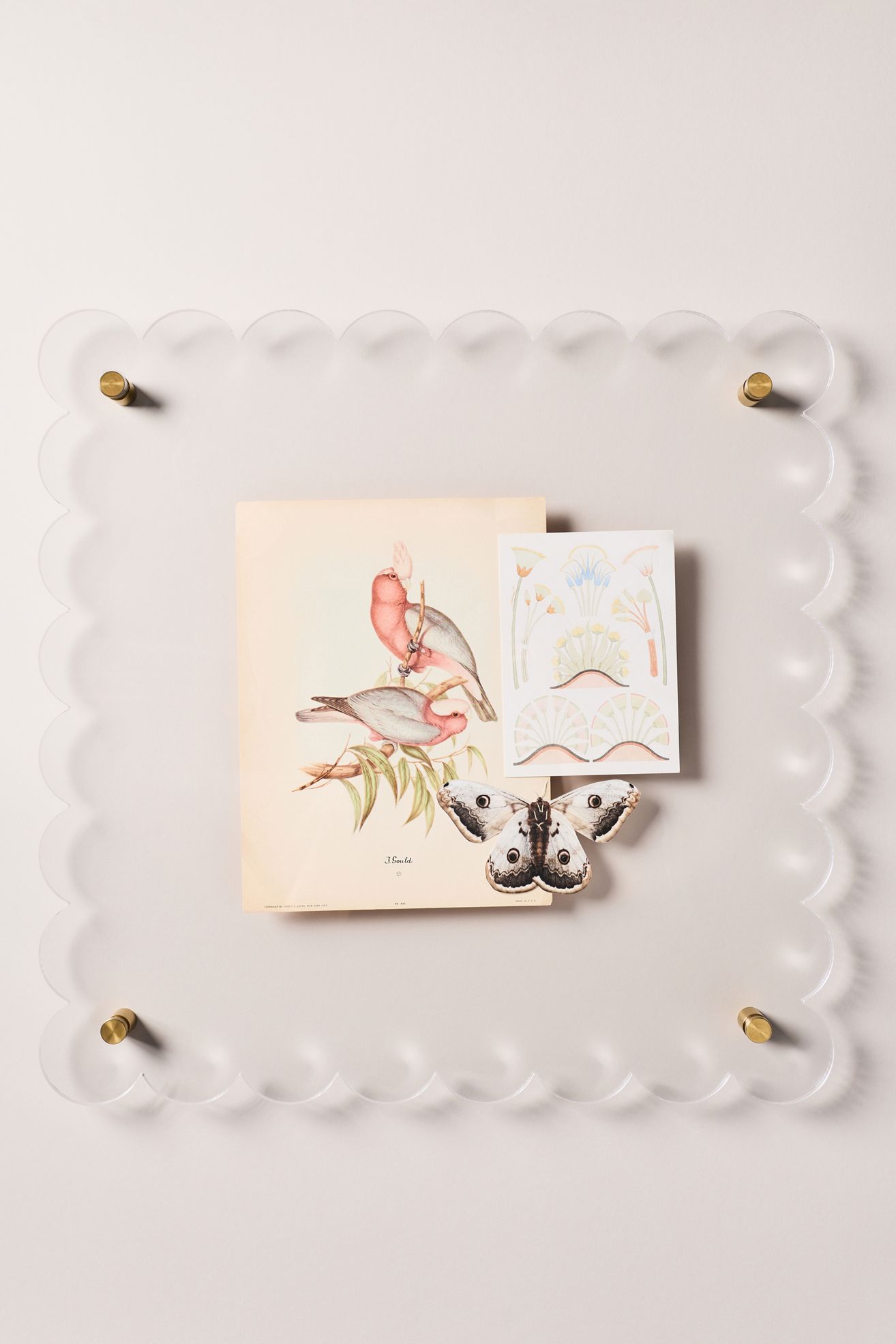 Tart by Taylor Scallop Acrylic Gallery Frame - Clear, Standard, 16" X 16"