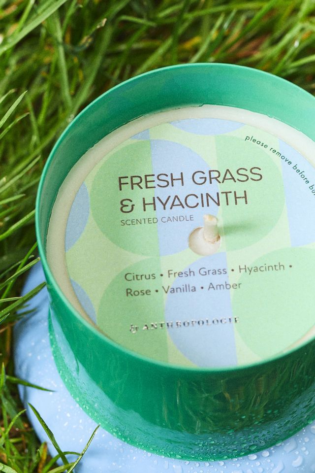 Vela de Esmalte Maisie Floral Hierba Fresca e Jacinto #1