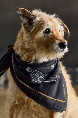 Embroidered Skeleton Bandana