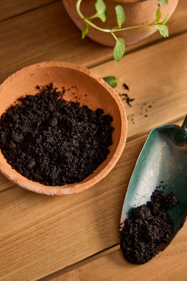 Rosy Soil Plant Food #1